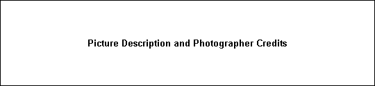 Picture Description and Photographer Credits
